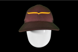 Rodeo Life Wings Ball Cap - Brown & Gold