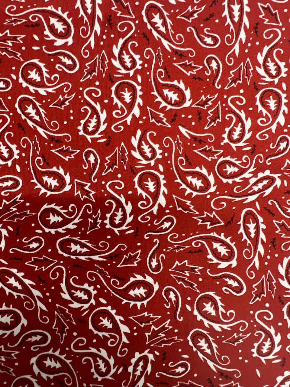 Wild Rag - Silk - Red Classic Print
